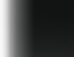 国家粮油信,息中心召开,玉米市场走,新葡京app,澳门新葡京娱乐城app,澳门新葡京娱乐城官网