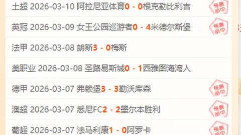 解放者杯8胜6：深度解析，专家推荐质合前区十码